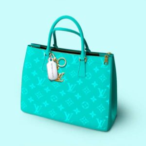 Ladys Bag